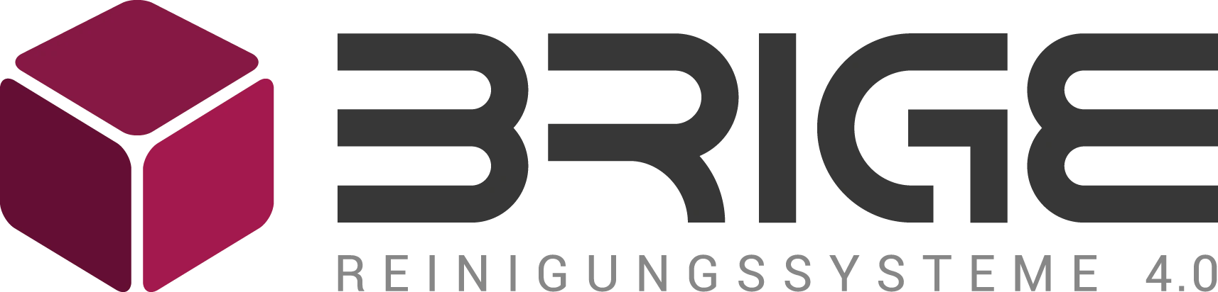 BRIGE GmbH logo
